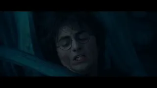 Harry Potter 4 - Harry vs Voldemort Pt. 1 at 01:29 — Harry Potter