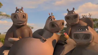 Madagascar 2 The Moto-Moto Song at 00:03 — Hippo
