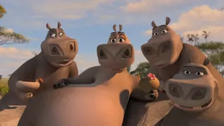 Madagascar 2 The Moto-Moto Song at 00:10 — Hippo