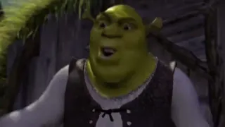 Donkey argues with Shrek at 00:00 — SHrek
