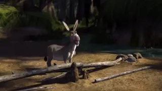 Donkey argues with Shrek at 00:01 — Donkey