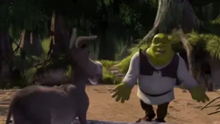 Donkey argues with Shrek at 00:06 — SHrek