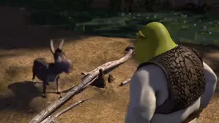 Donkey argues with Shrek at 00:09 — Donkey