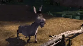 Donkey argues with Shrek at 00:15 — Donkey