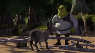 Donkey argues with Shrek at 00:20 — Donkey