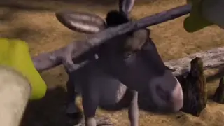 Donkey argues with Shrek at 00:24 — Donkey