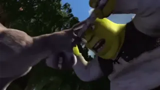 Donkey argues with Shrek at 00:29 — SHrek