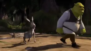 Donkey argues with Shrek at 00:37 — Donkey