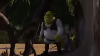 Donkey argues with Shrek at 00:46 — Donkey