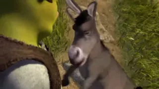 Donkey argues with Shrek at 00:58 — Donkey
